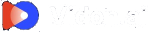 Vidon Logo